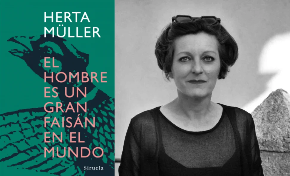 Club de lectura adults febrer 26