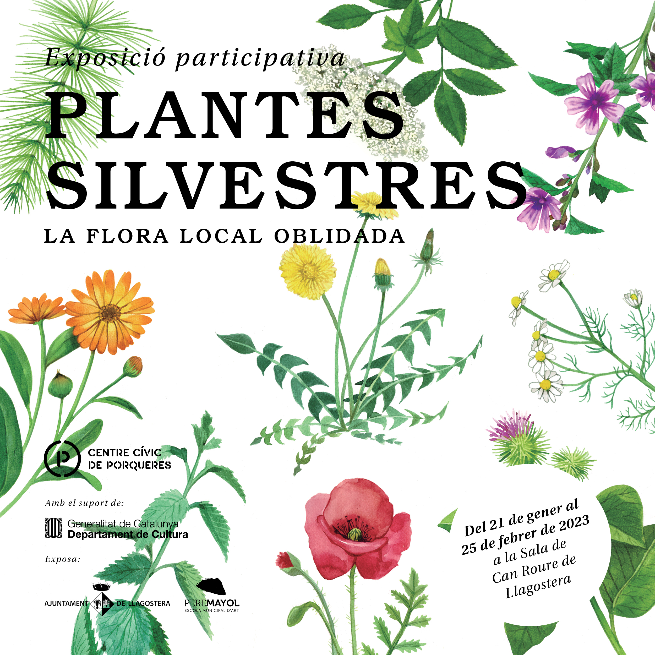 Clica per accedir a tot el programa d'activitats paral·leles.