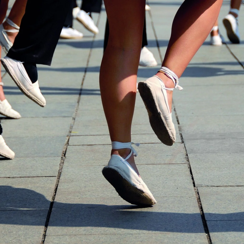 Sardanes per a tothom